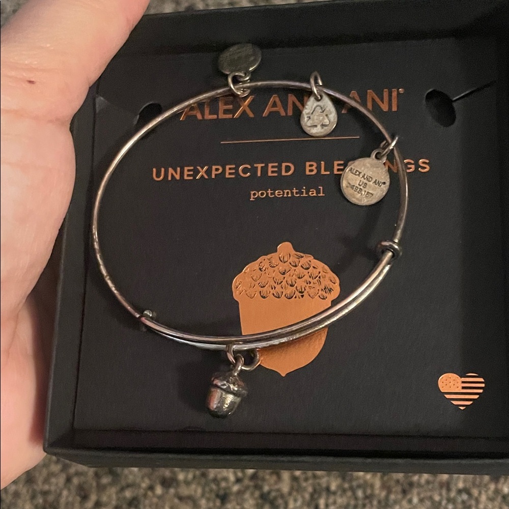 Alex and Ani Silver Acorn Charm Bracelet